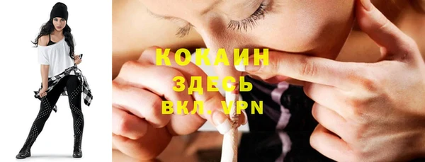 шишки Семёнов