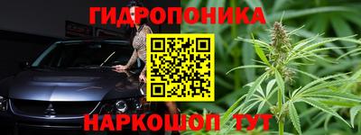 сатива Кунгур