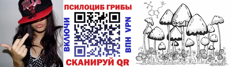 Псилоцибиновые грибы мухоморы  Каменск-Шахтинский 