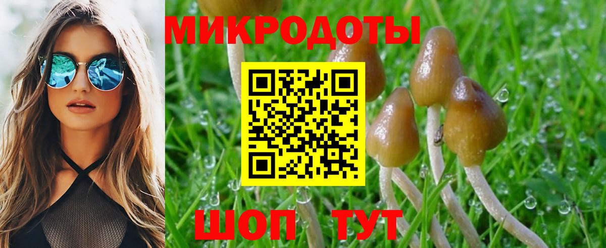 Каменск-Шахтинский  Псилоцибиновые грибы GOLDEN TEACHER  Вход с VPN 