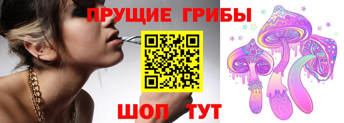 Псилоцибиновые грибы Cubensis Каменск-Шахтинский
